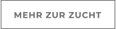 MEHR ZUR ZUCHT